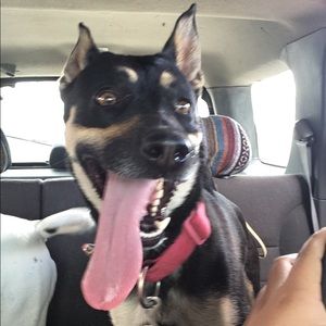 Meet your Posher, Nicholette